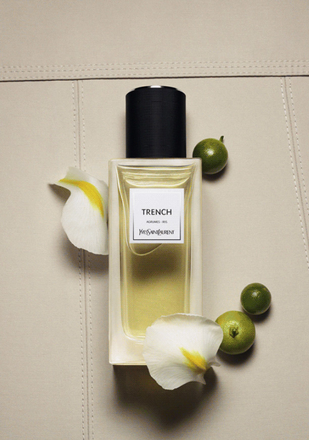 Trench Yves Laurent And Saint Men For Women mPN0nwyv8O