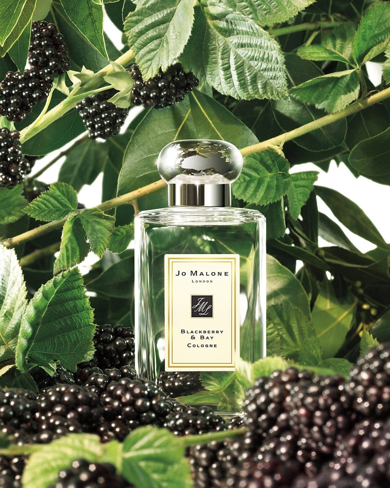 «Blackberry & Bay» Jo Malone London