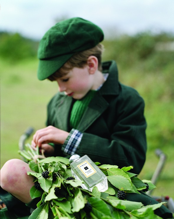 «Blackberry & Bay» Jo Malone London