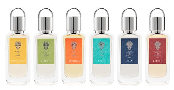acqua di stresa lotus