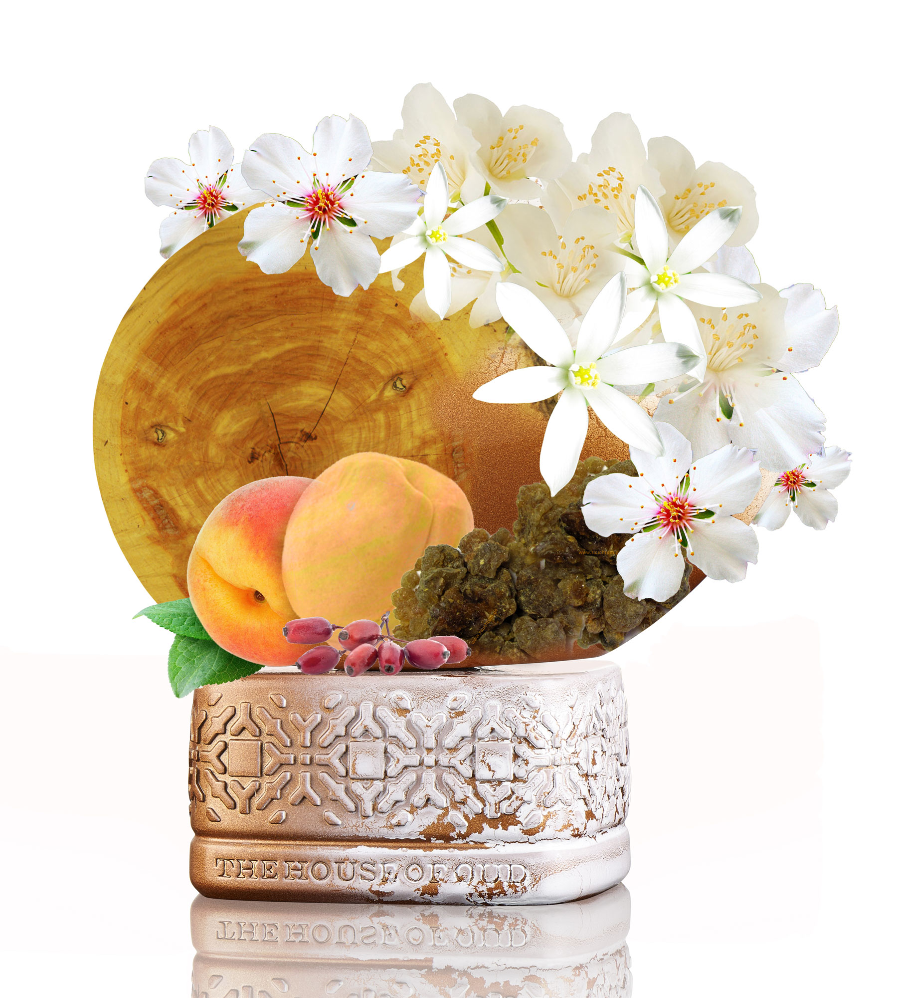 Wonderly The House of Oud perfume a fragrance for women and men 2017