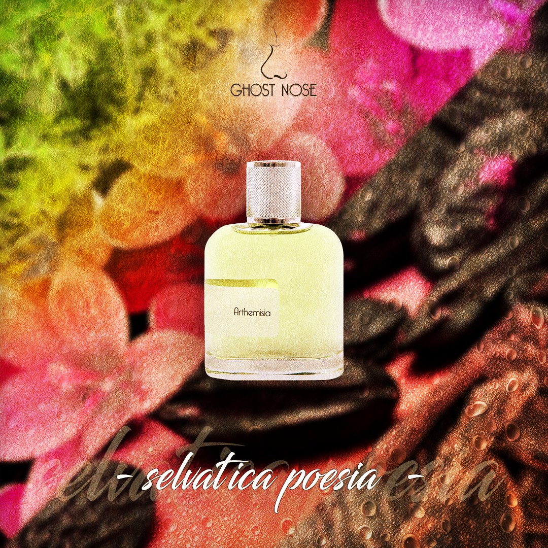 Nose духи. Nose Parfums Дарья Глухова. Nose Parfums al Sahra. Holynose Parfums Мария Головина.