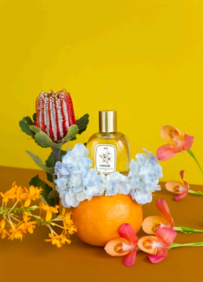 Vanori Sylvaine Delacourte perfume - a fragrance for women and men 2018