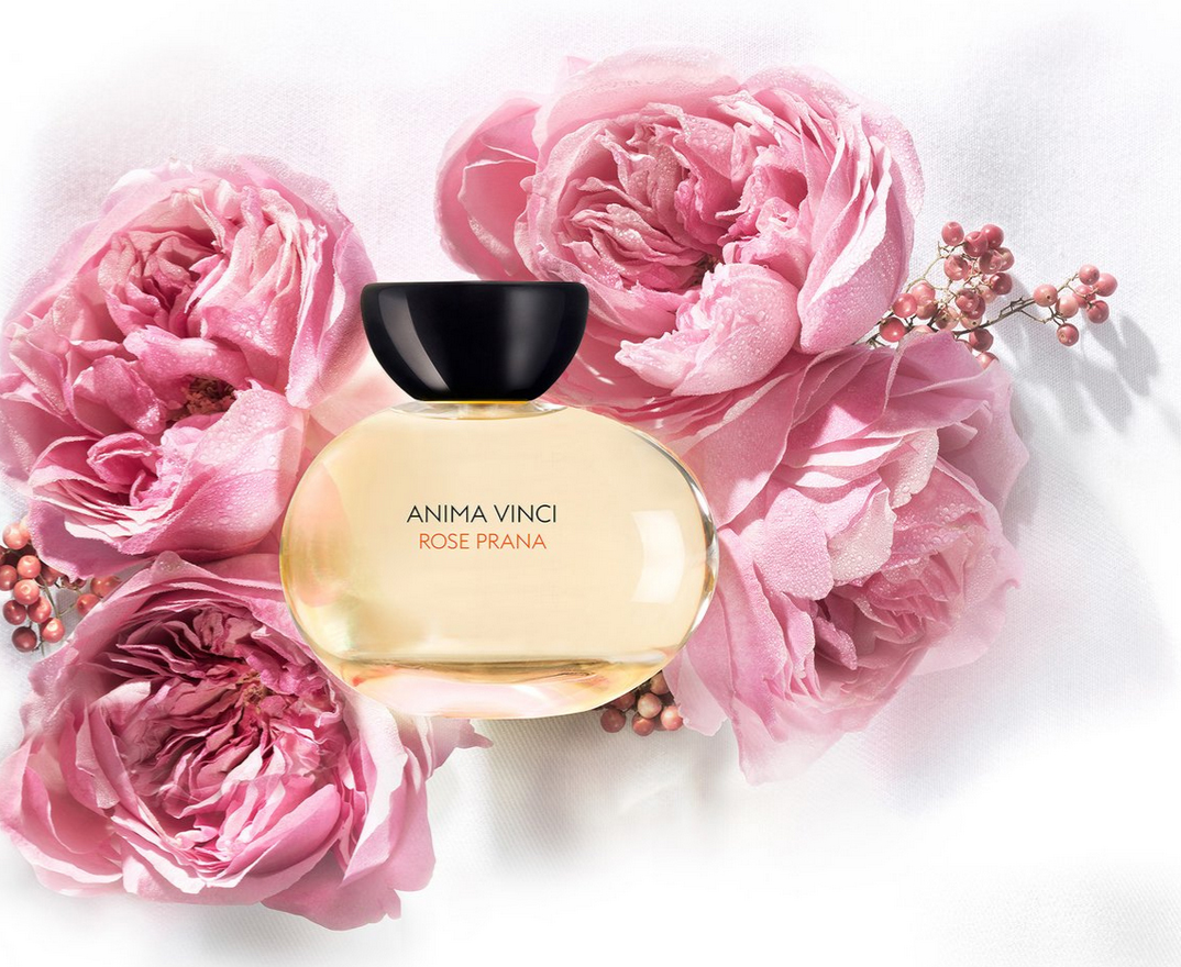 Rose Prana Anima Vinci perfume - a new fragrance for women 2017