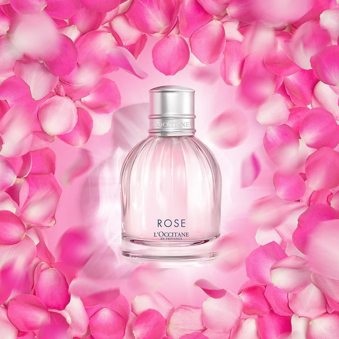 Rose L'Occitane en Provence perfume - a new fragrance for women 2018