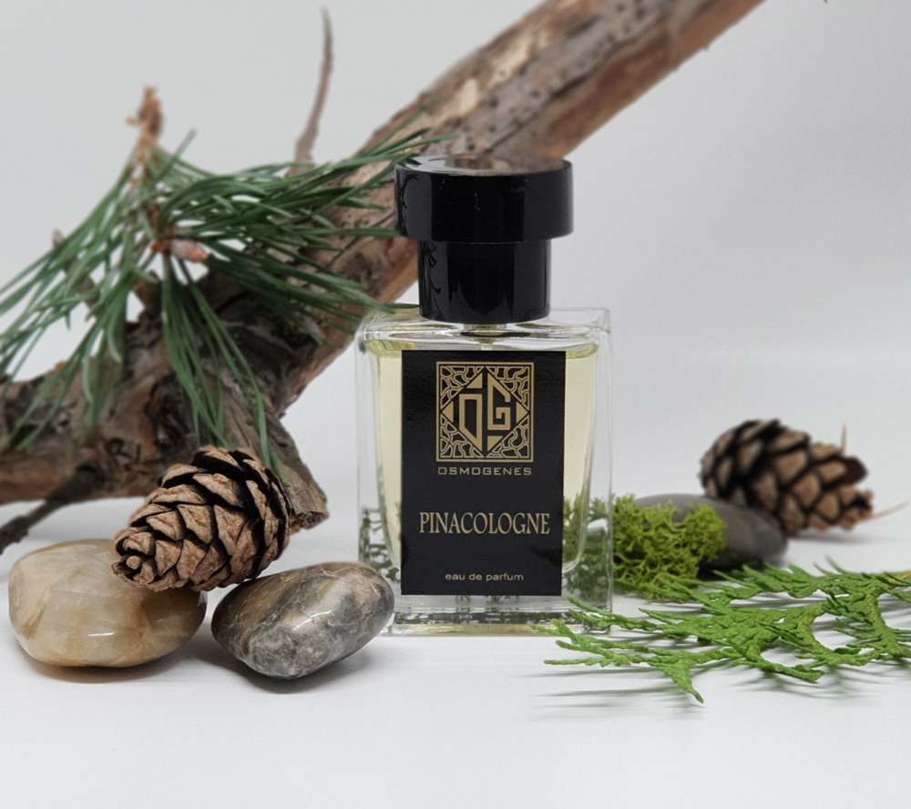 Pinacologne Пинаколон OsmoGenes Perfumes perfume - a fragrance for ...