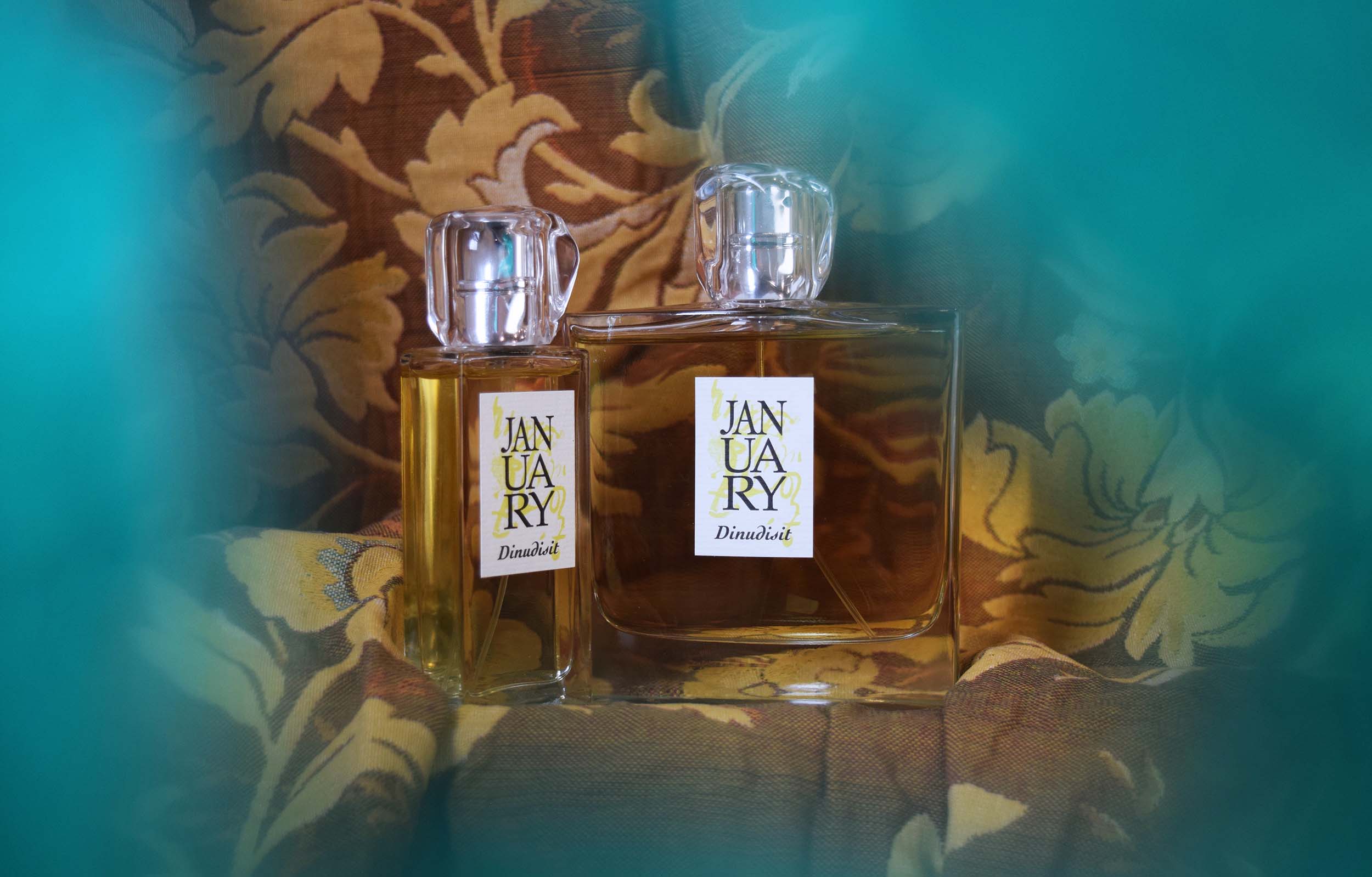 Dinudisit January Scent Project perfume a new fragrance for women and