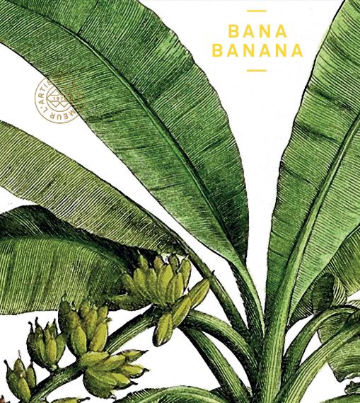 Bana Banana L'Artisan Parfumeur perfume - a fragrance for women and men ...