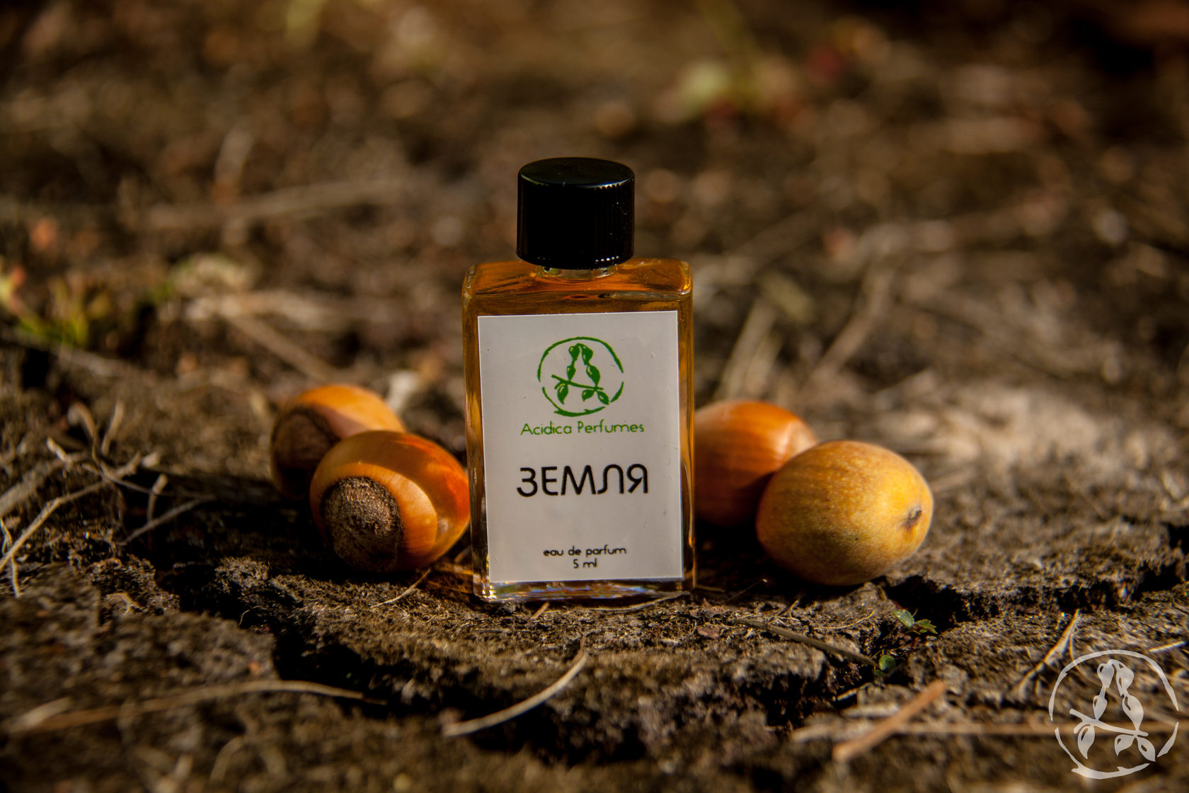 Earth (Земля) Acidica Perfumes perfume - a fragrance for women and men 2018