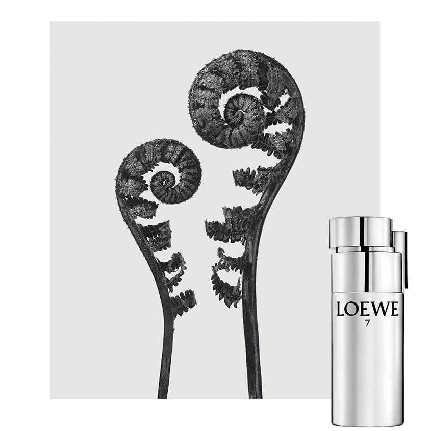 Loewe 7 Plata Loewe cologne - a new 