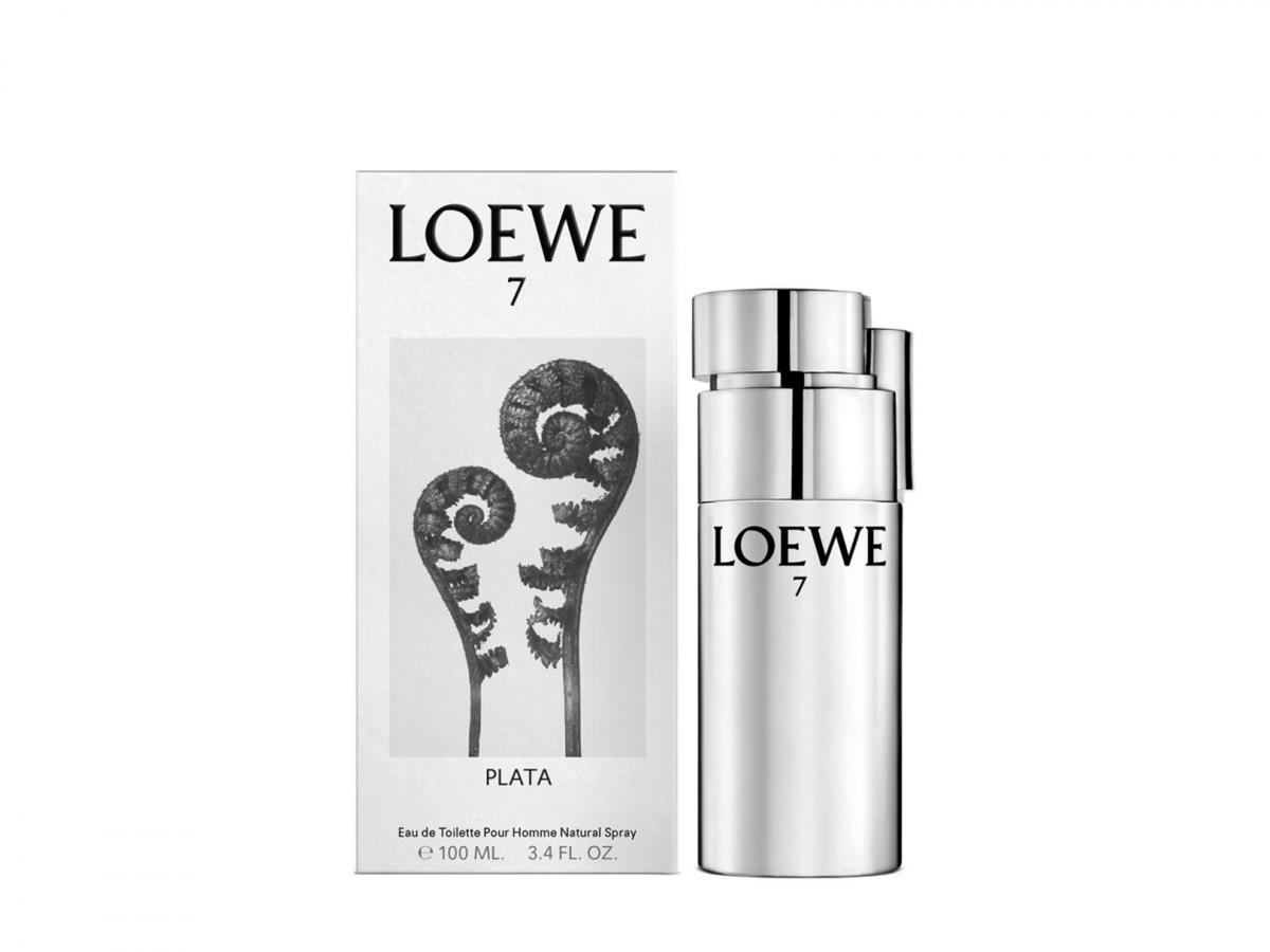 loewe 7 plata perfume