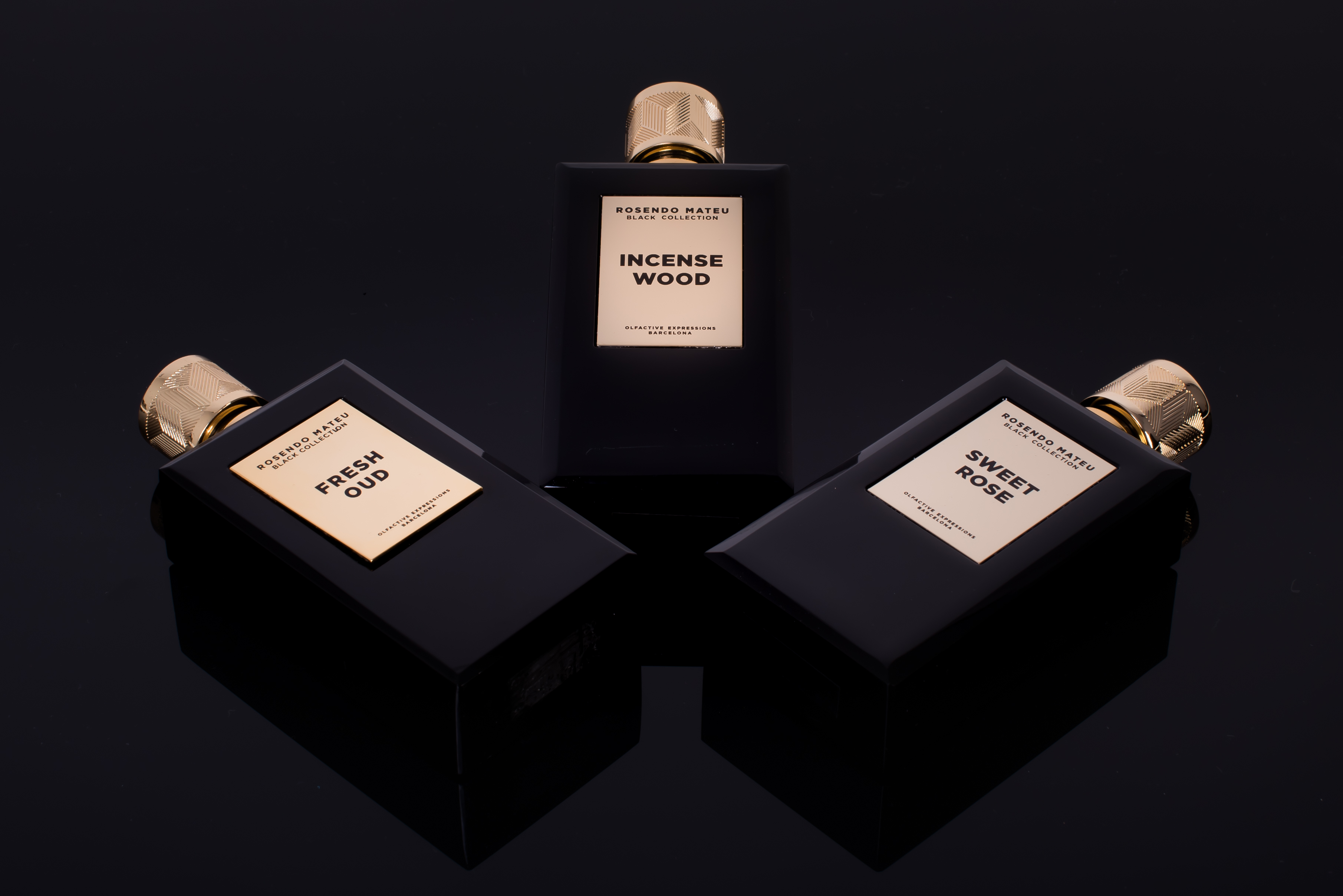 Incense Wood Rosendo Mateu Olfactive Expressions perfume - a fragrance ...