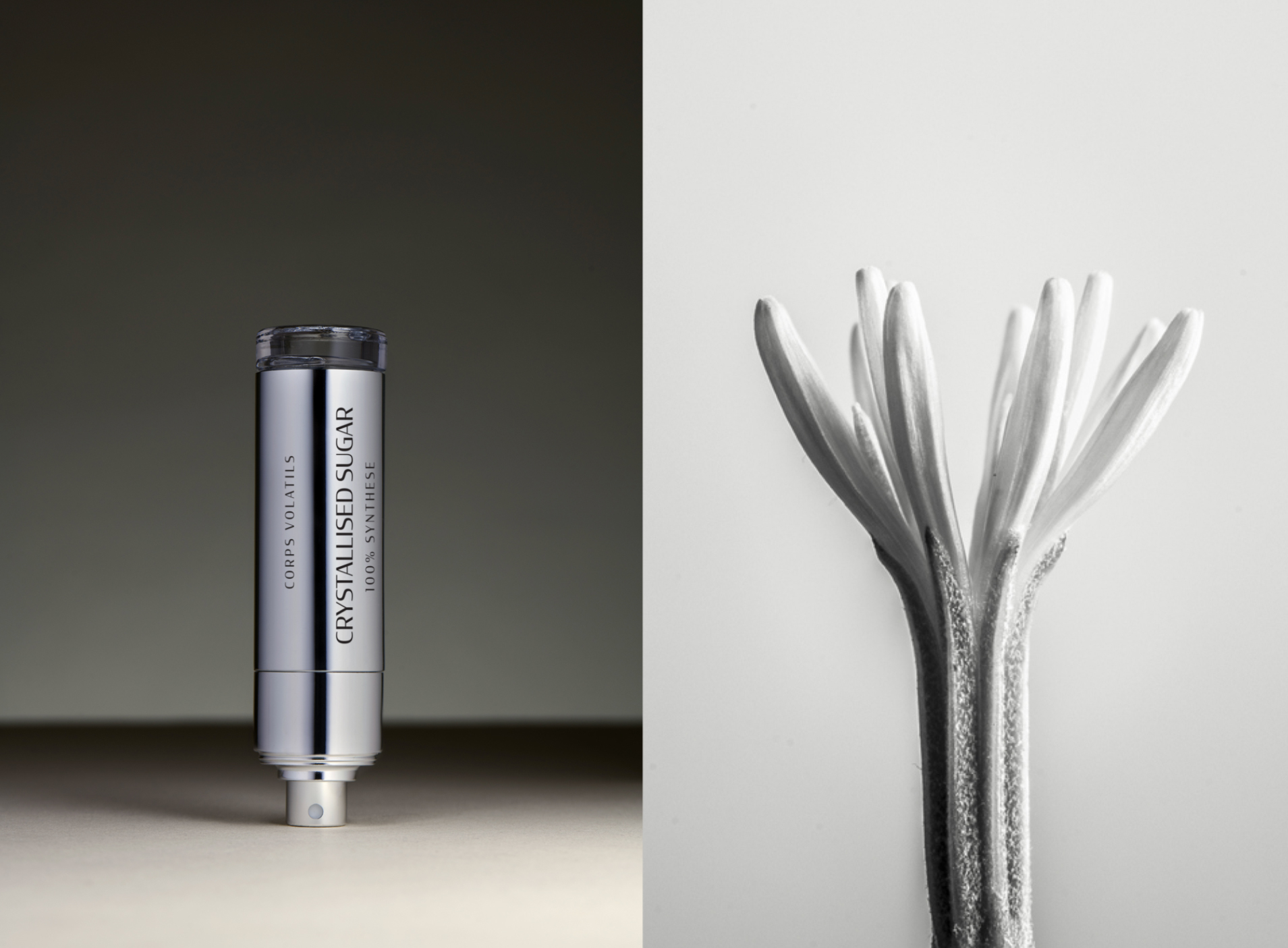 Crystallised Sugar Corps Volatils perfume - a fragrance for women and