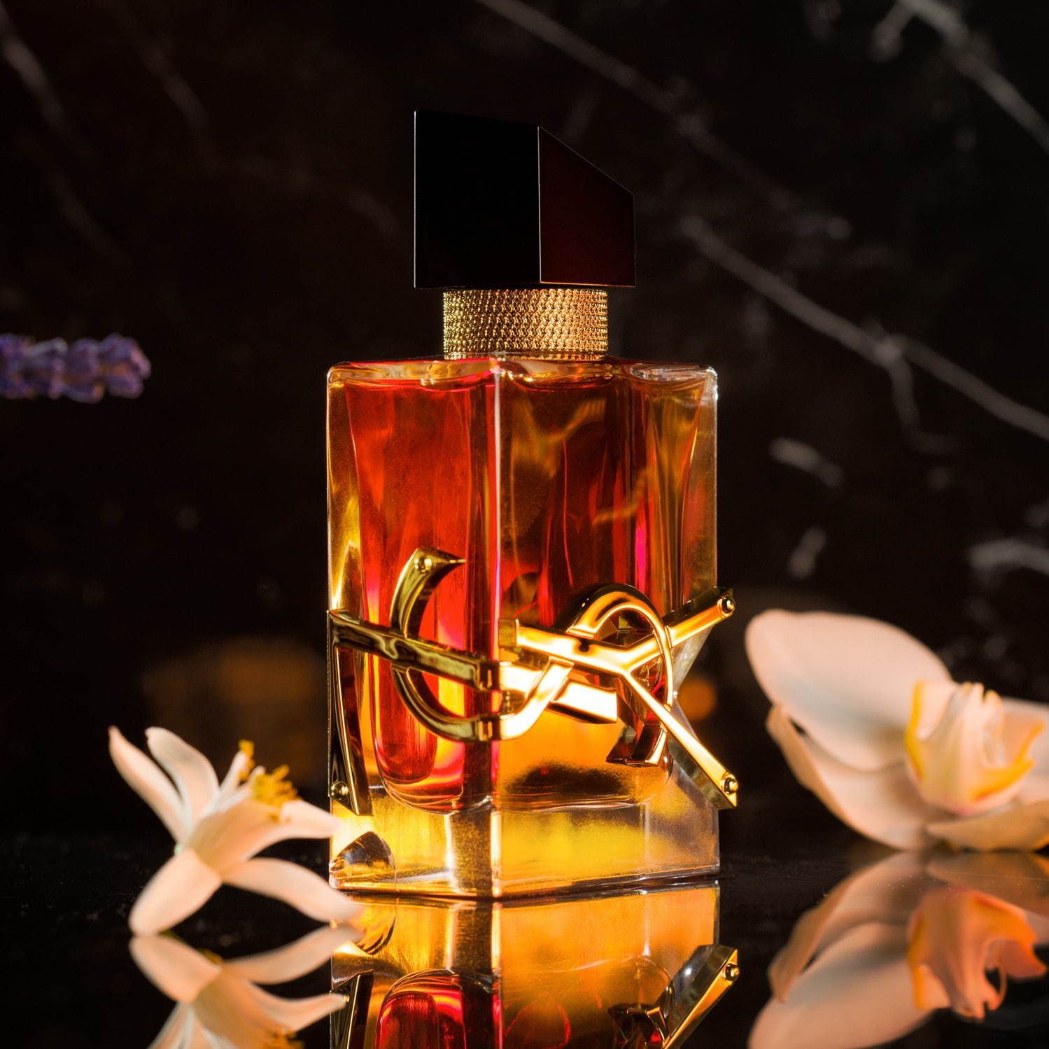 Libre Intense Yves Saint Laurent perfume a new fragrance for women 2020