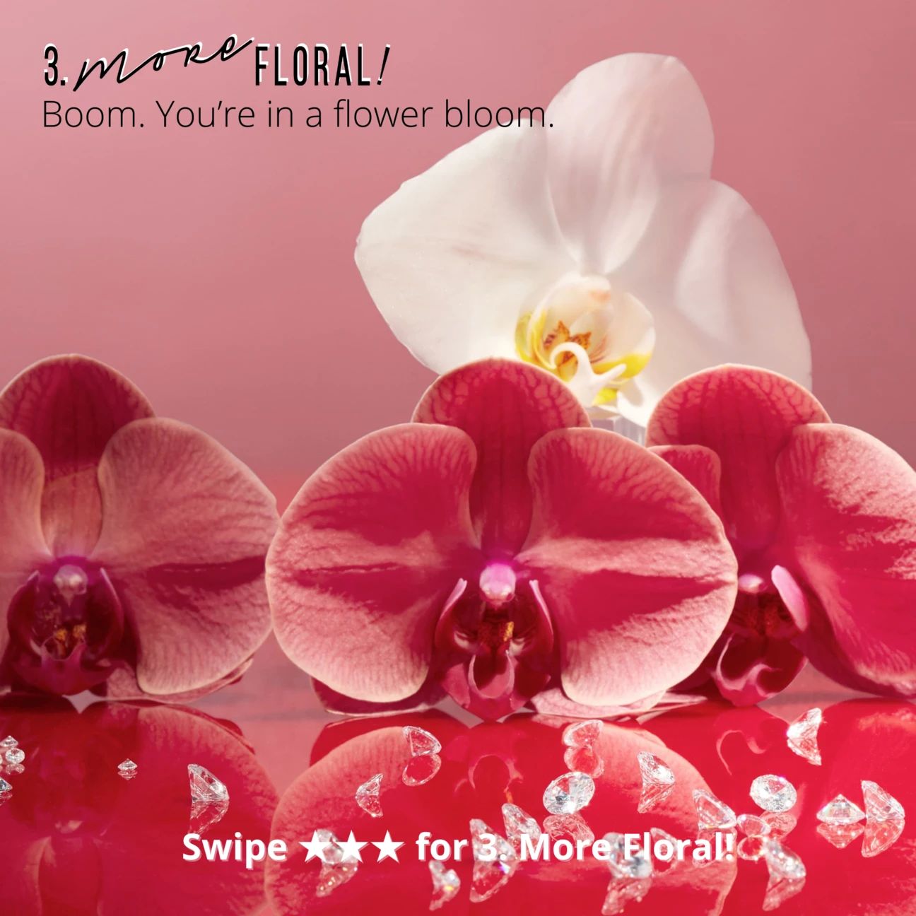 More Zest Judith Leiber Una Novita Fragranza Da Donna