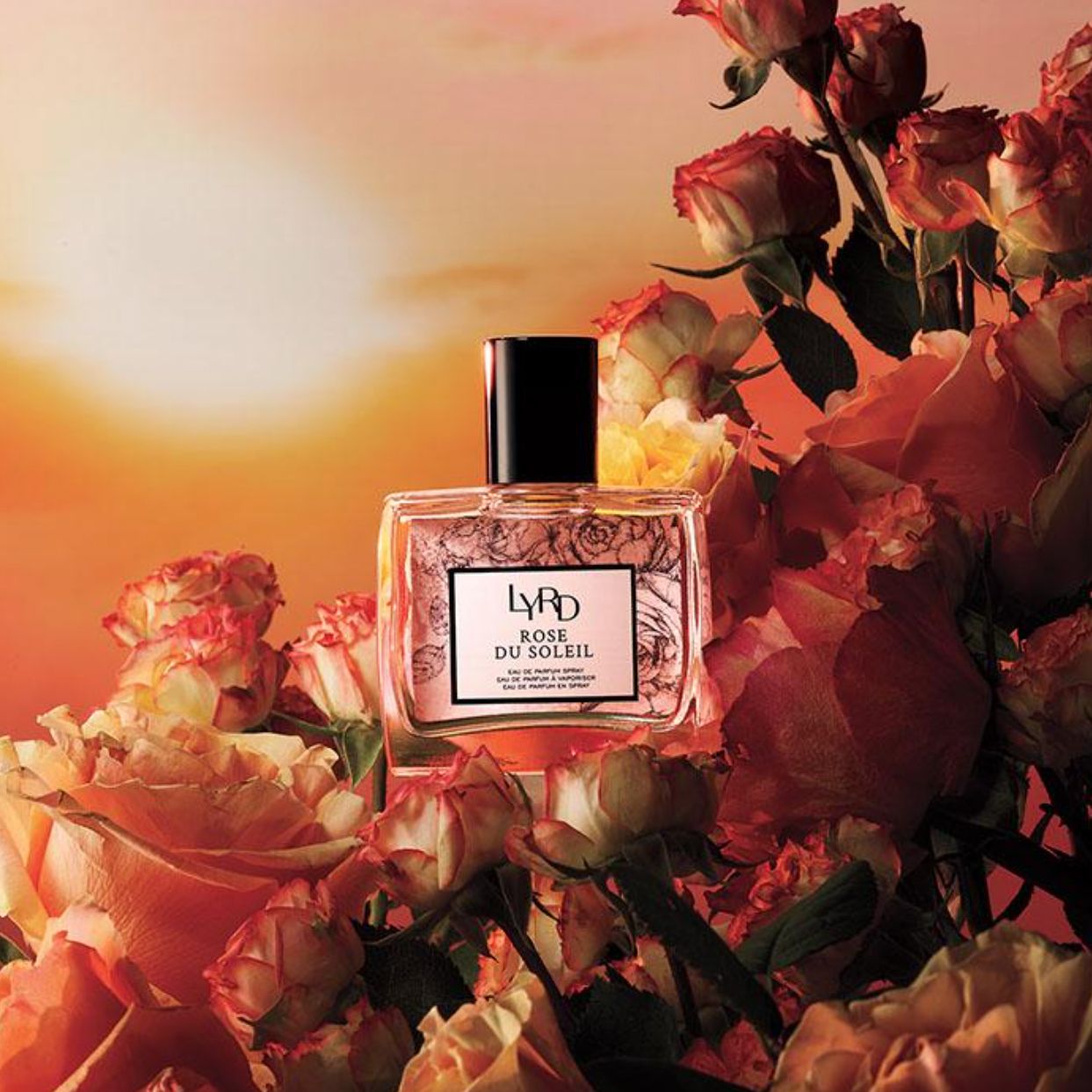 Rose Du Soleil Avon perfume - a fragrance for women 2021