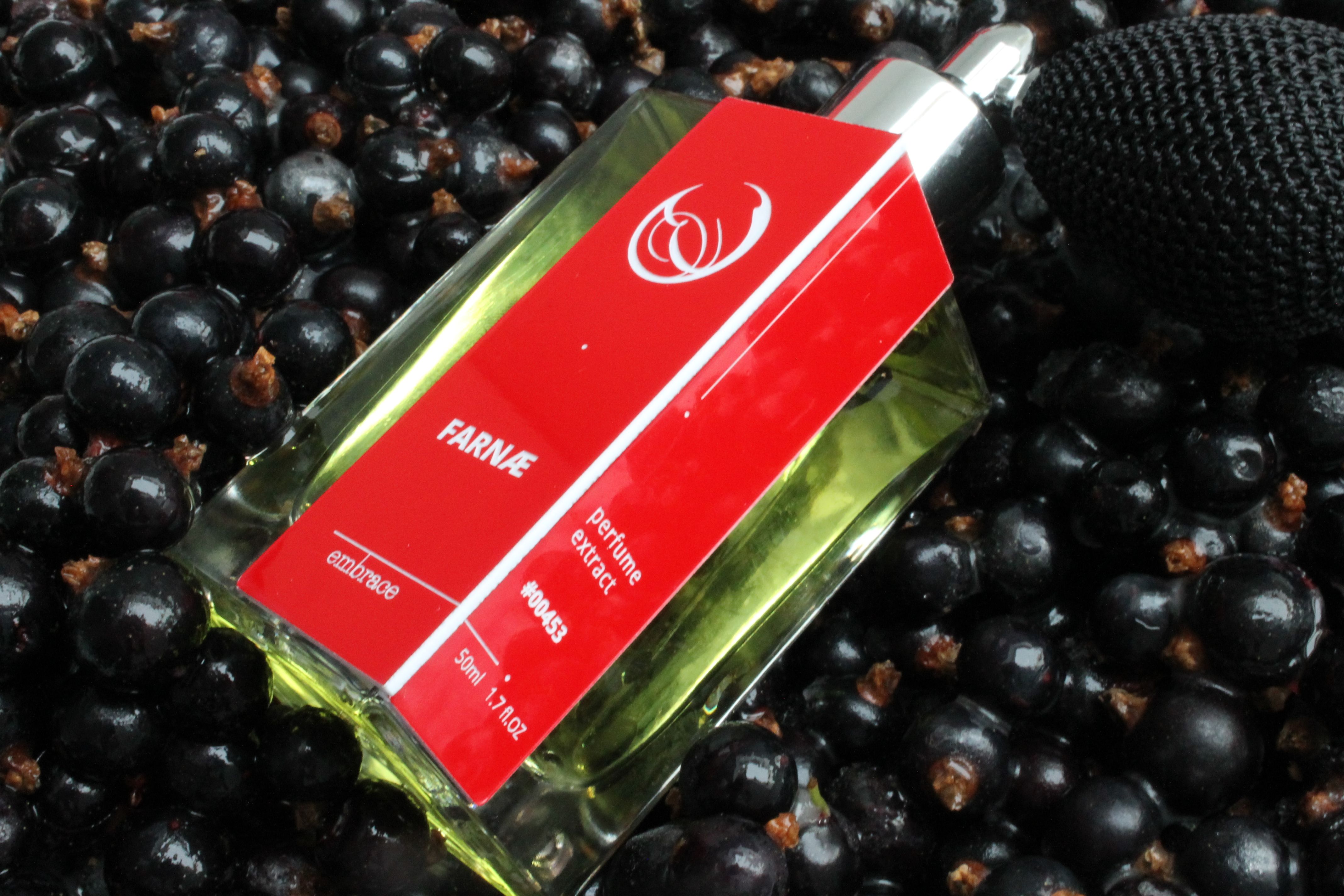 Farnae Embrace Perfume perfume - a fragrance for women and men 2015