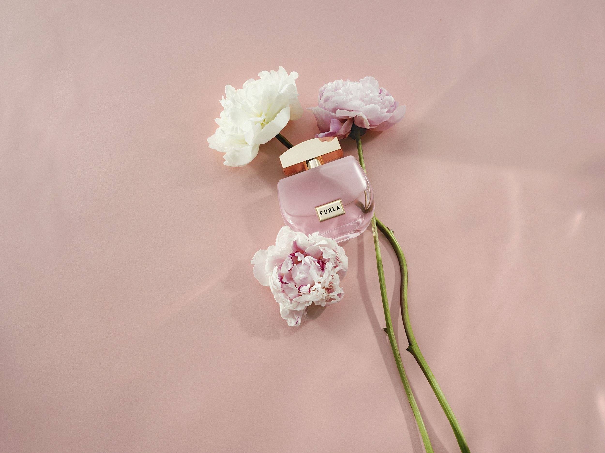 Autentica Furla perfume - a fragrance for women 2021