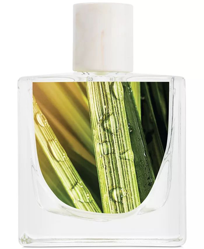 Sun Shower Eau de Parfum Skylar perfume - a fragrance for women 2021