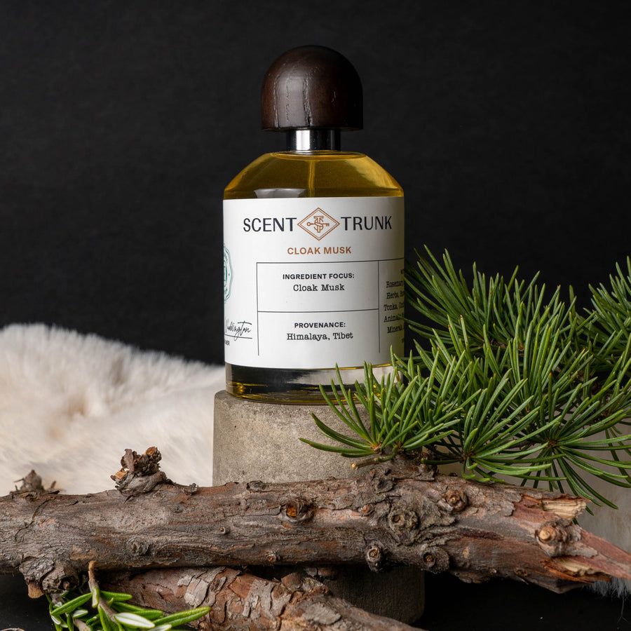 Cloak Musk Scent Trunk perfume a fragrance for women and men