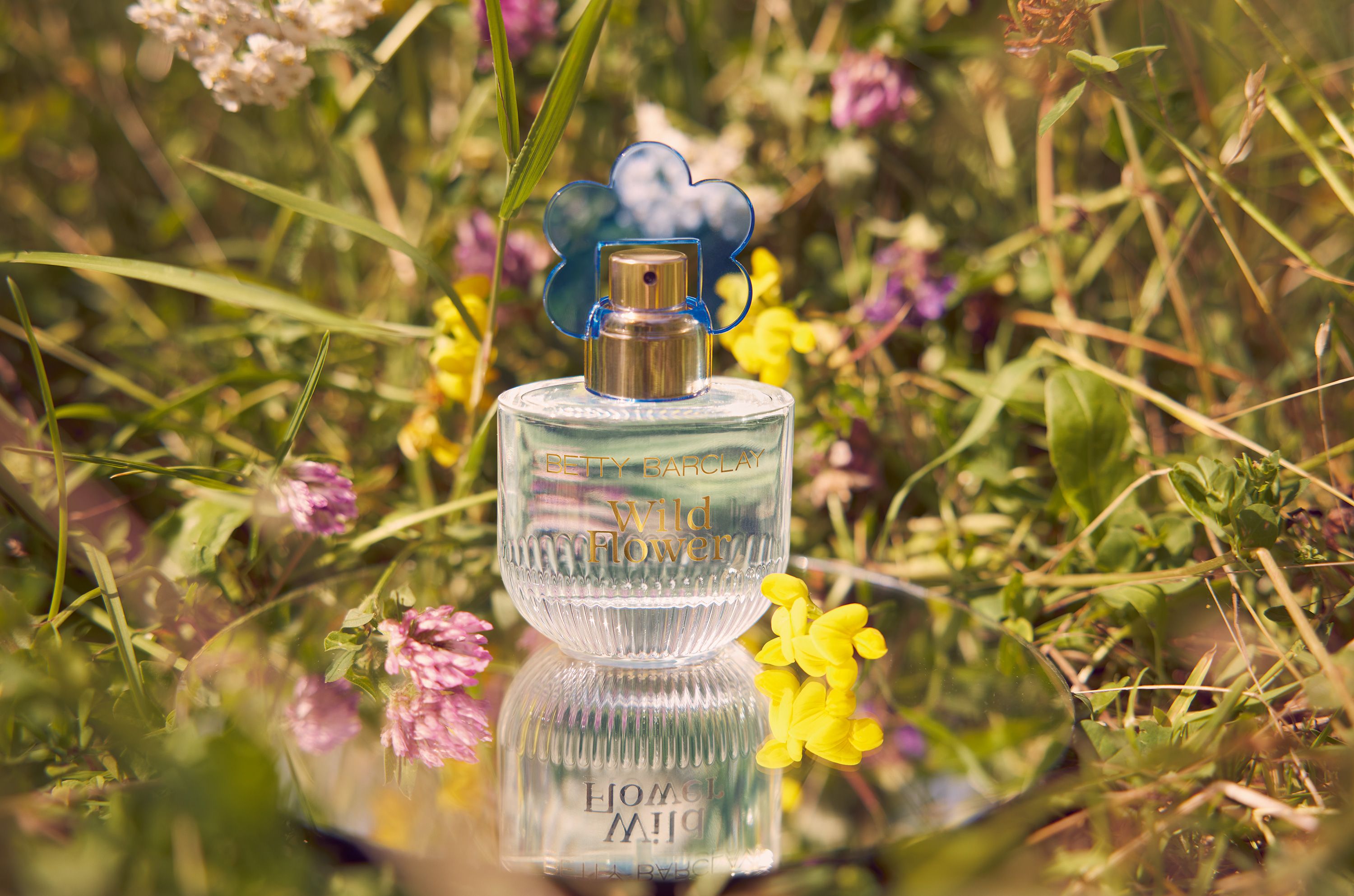 Wild Flower Eau de Parfum Betty Barclay perfume - a new fragrance for ...