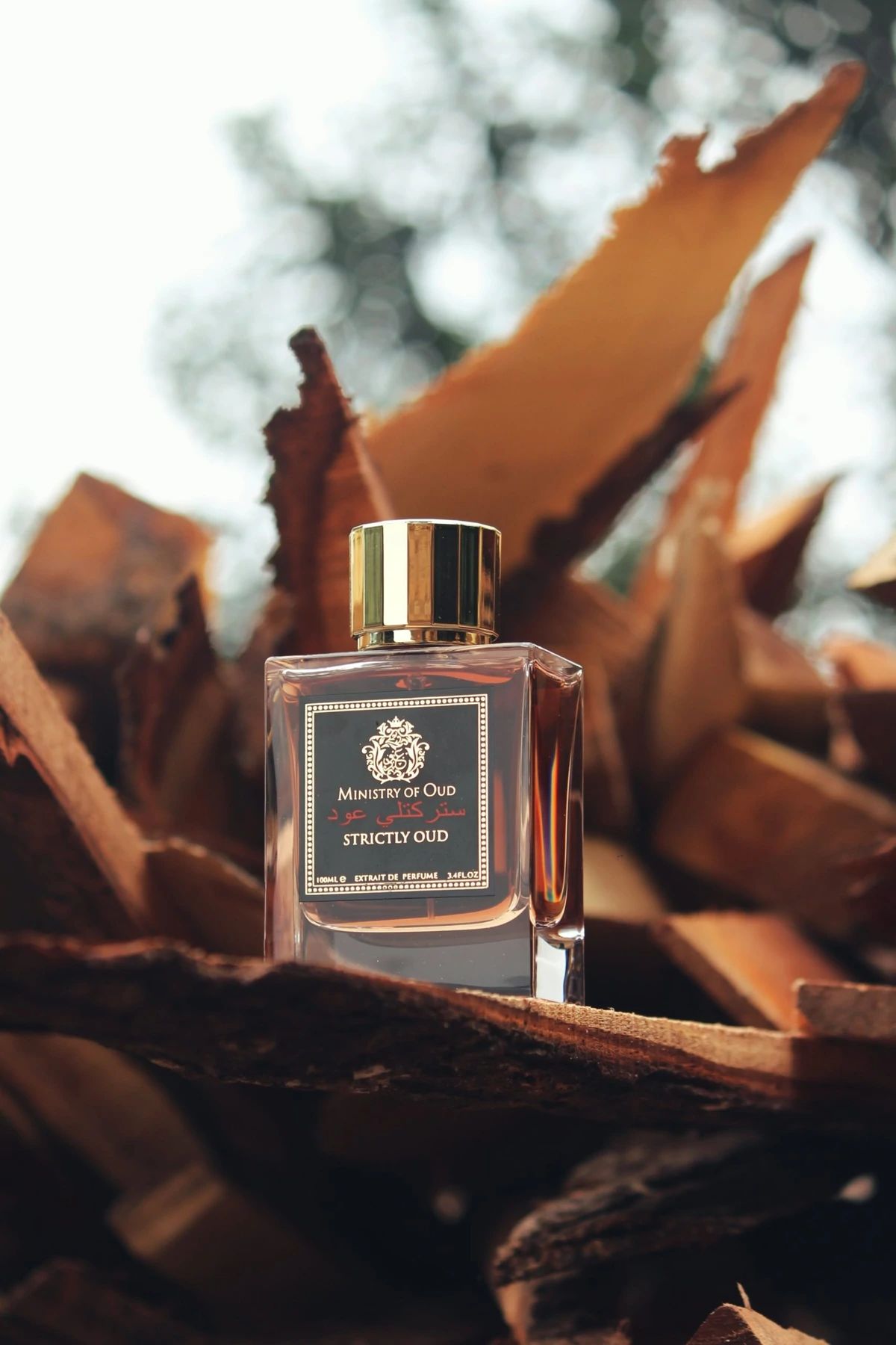 Strictly Oud Ministry of Oud perfume - a fragrance for women and men 2021
