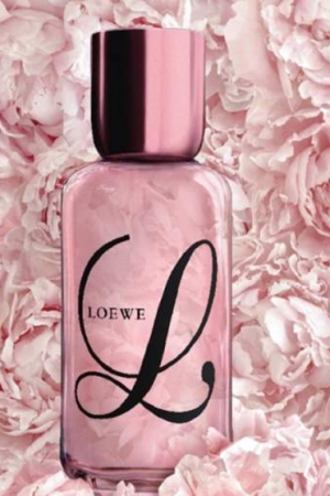 Loewe L Loewe perfume - a fragrance for 