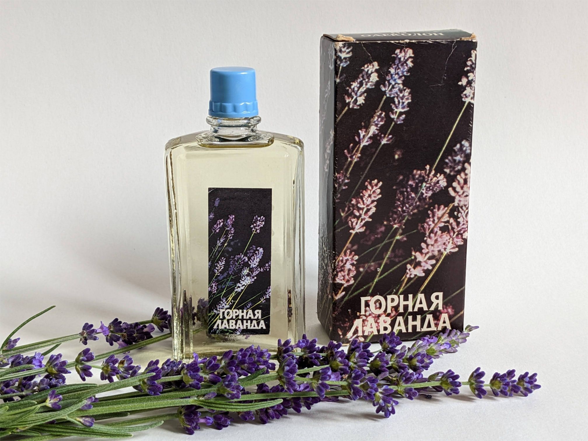 Горная лаванда (Mountain Lavender) Новая Заря (The New Dawn) perfume ...