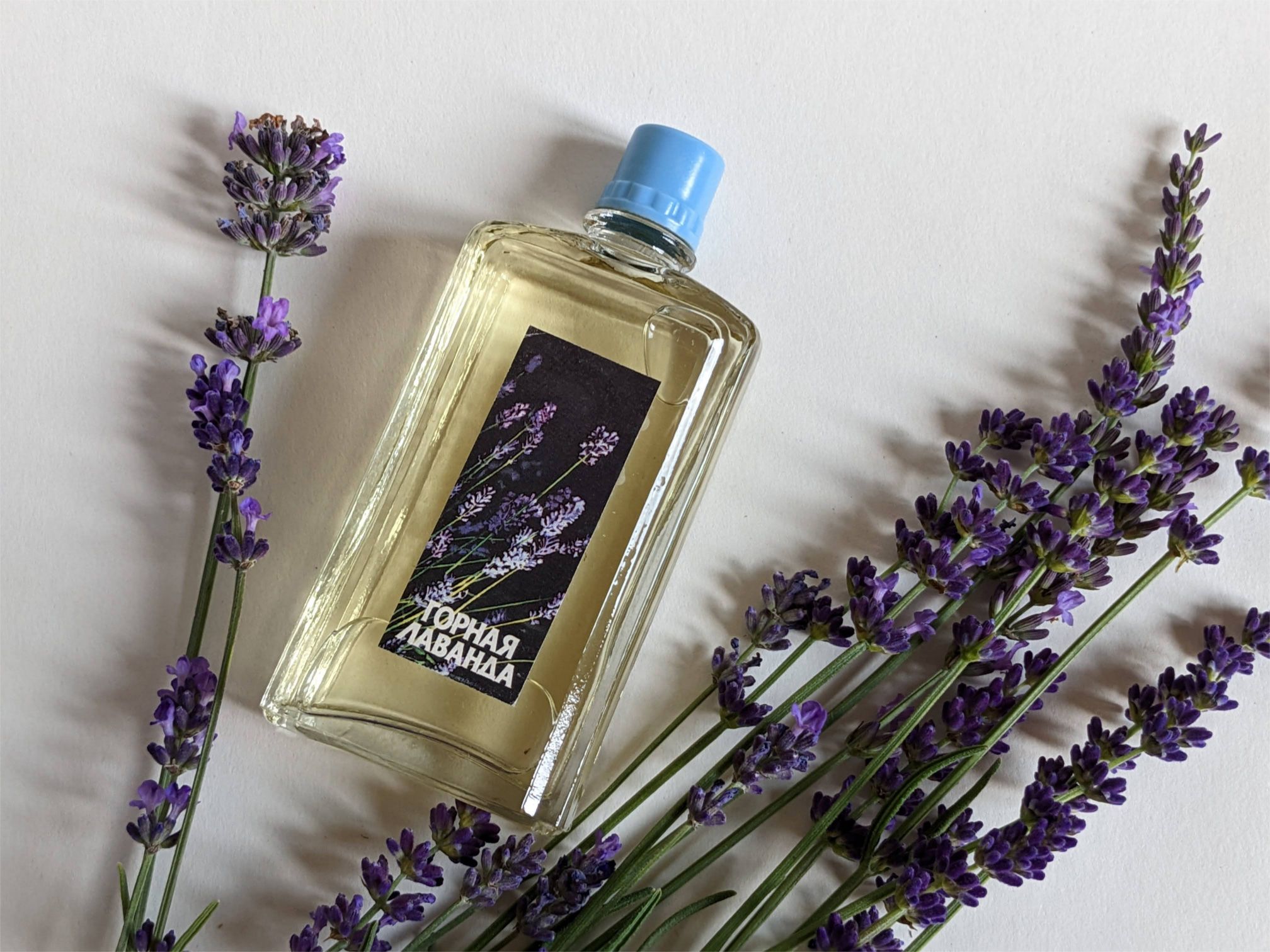 Горная лаванда (Mountain Lavender) Новая Заря (The New Dawn) perfume ...