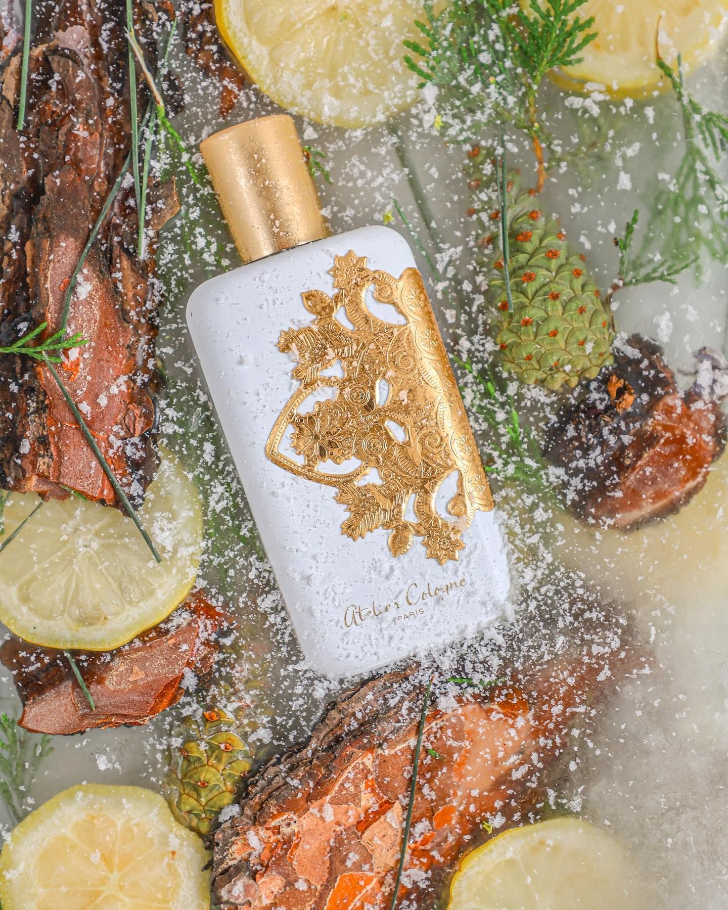 Cèdre Atlas Cologne Absolute Limited Edition Atelier Cologne perfume ...