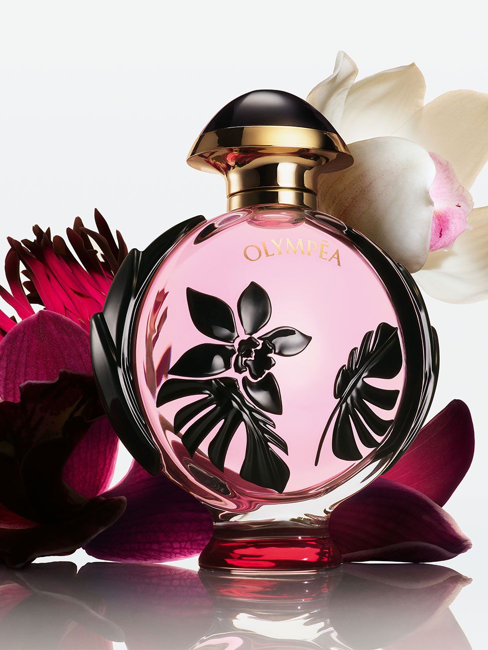 Olympéa Flora Paco Rabanne perfume - a new fragrance for women 2023