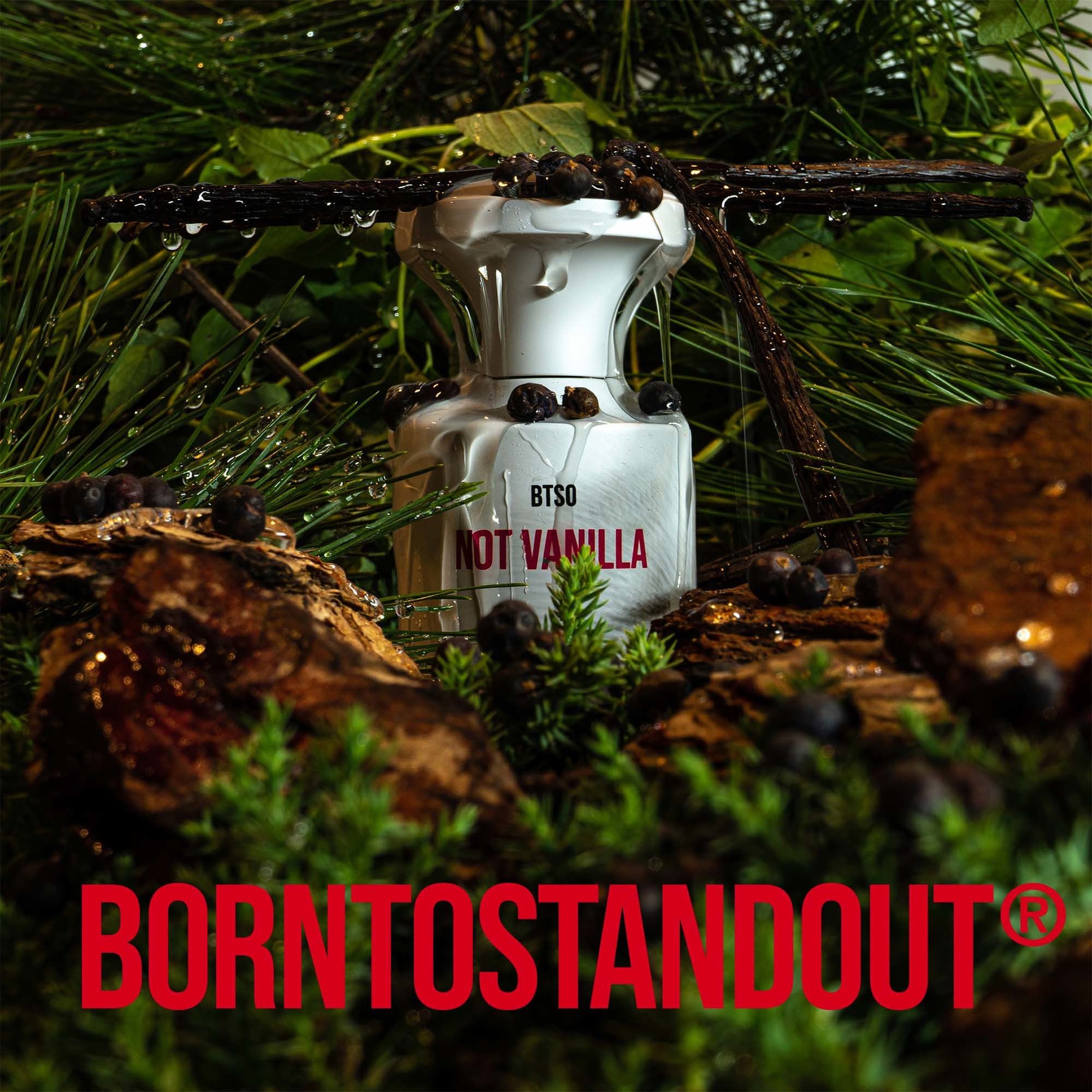 Not Vanilla BORNTOSTANDOUT® аромат — новый аромат для мужчин и женщин 2022