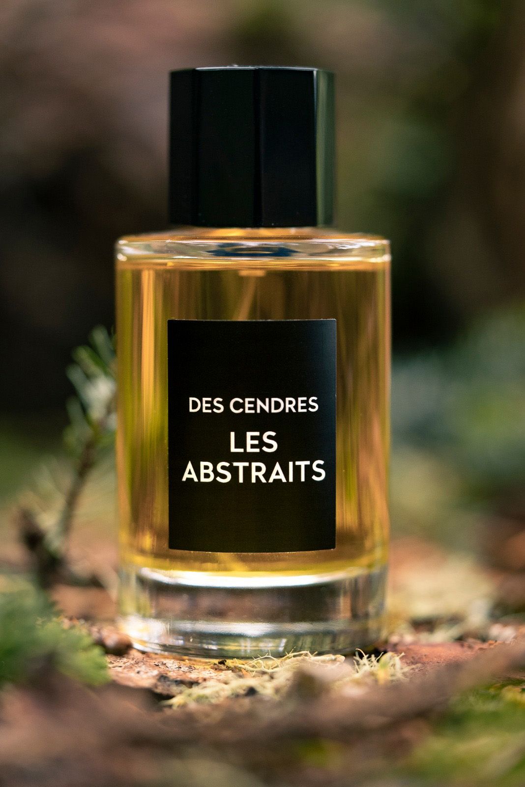 Des Cendres Les Abstraits аромат — новый аромат для мужчин и женщин 2023