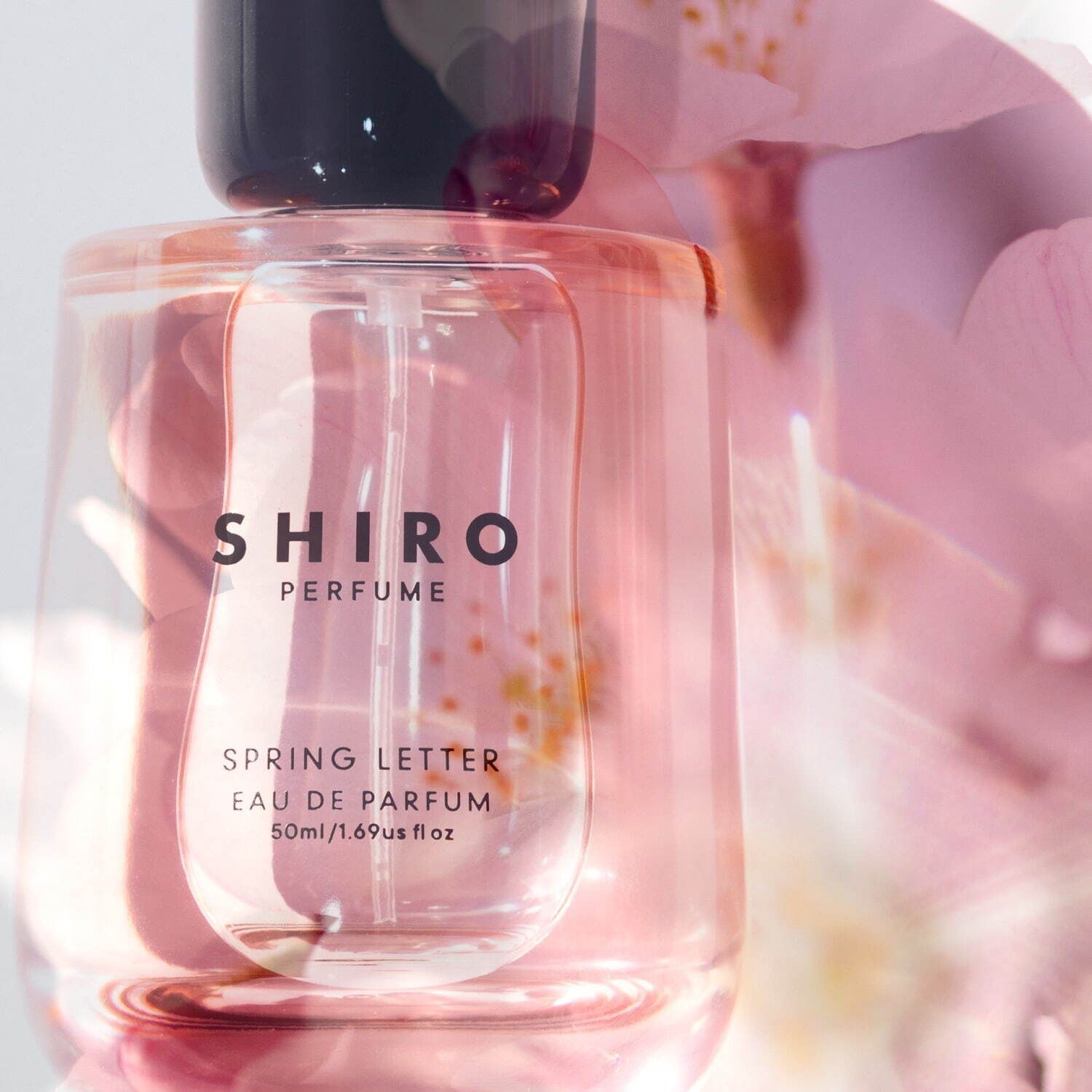 Spring Letter Shiro perfume - a new fragrance for women 2023