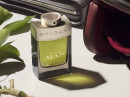 Bvlgari Man Wood Essence Bvlgari 男用 图片