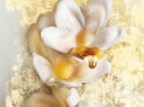 J'Adore Absolu Christian Dior 女用 图片