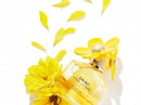 Daisy Sunshine Marc Jacobs 女用 图片