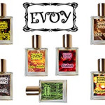 Russian Niche: EVOY