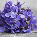 Violette Précieuse: Scent and Concept