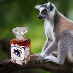 Luminous Lemurs: A New Eco-Perfume to Help Save Habitats