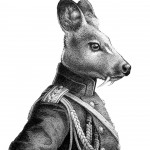 Musk Deer Zoologist Review