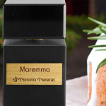 Christmas Pudding in Maremma Tiziana Terenzi
