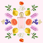 Princesse Marina de Bourbon Symbol For A Lady