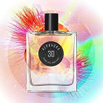30 Alphaora Pierre Guillaume Paris: Moss In The Light Of Aurora Borealis