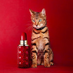 Cacharel Yes I Am Eau de Parfum Collector Edition