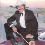 Chaz Revlon: That Handsome Man of the 1970s