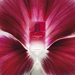 Armand Basi In Red Blooming Passion