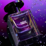 Jusbox Launches Suit of Lights - The Fifteenth Fragrance in Their Collection