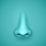 Intimate Details of the Molecule: What it Does With the Olfactory Receptor
