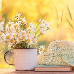 Perfumed Horoscope: October 17 - October 23